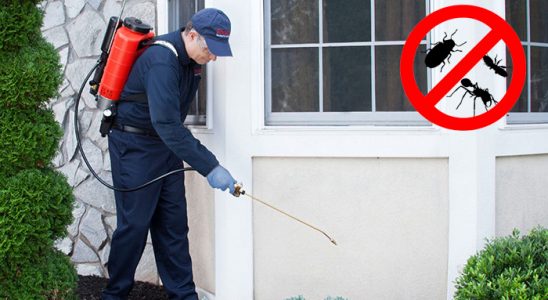 Halfeti Bit İlaçlama böcek ilaçlama ve haşere kontrolü — ilaclama-tr.com